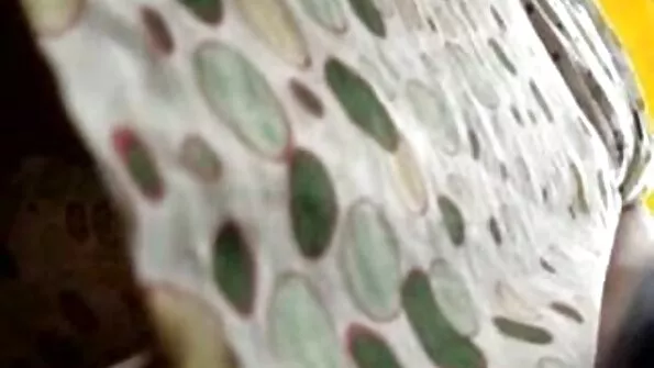 রিনা এলিস বিশ্বের সংরক্ষণ: অনুগ্রহপূর্বক সেঞ্চুরি চুদা চুদি গল্প প্যারডি, পর্ব 1