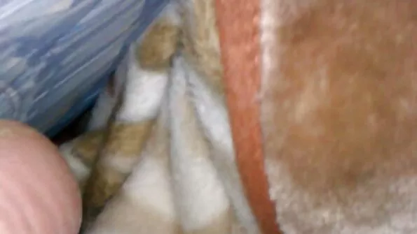মাই জবরদস্তি চুদা চুদি এর কাজের