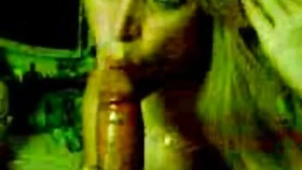 বাড়ীতে তৈরি সানি লিওনের চুদাচুদি